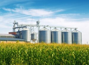 Agriculture
